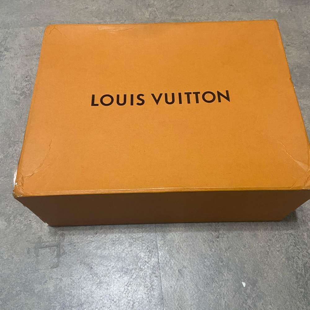 Louis Vuitton arch light sneaker